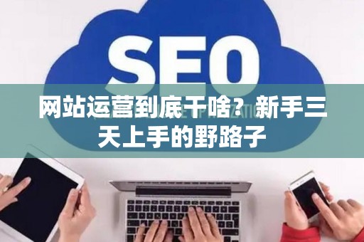 网站运营到底干啥？新手三天上手的野路子